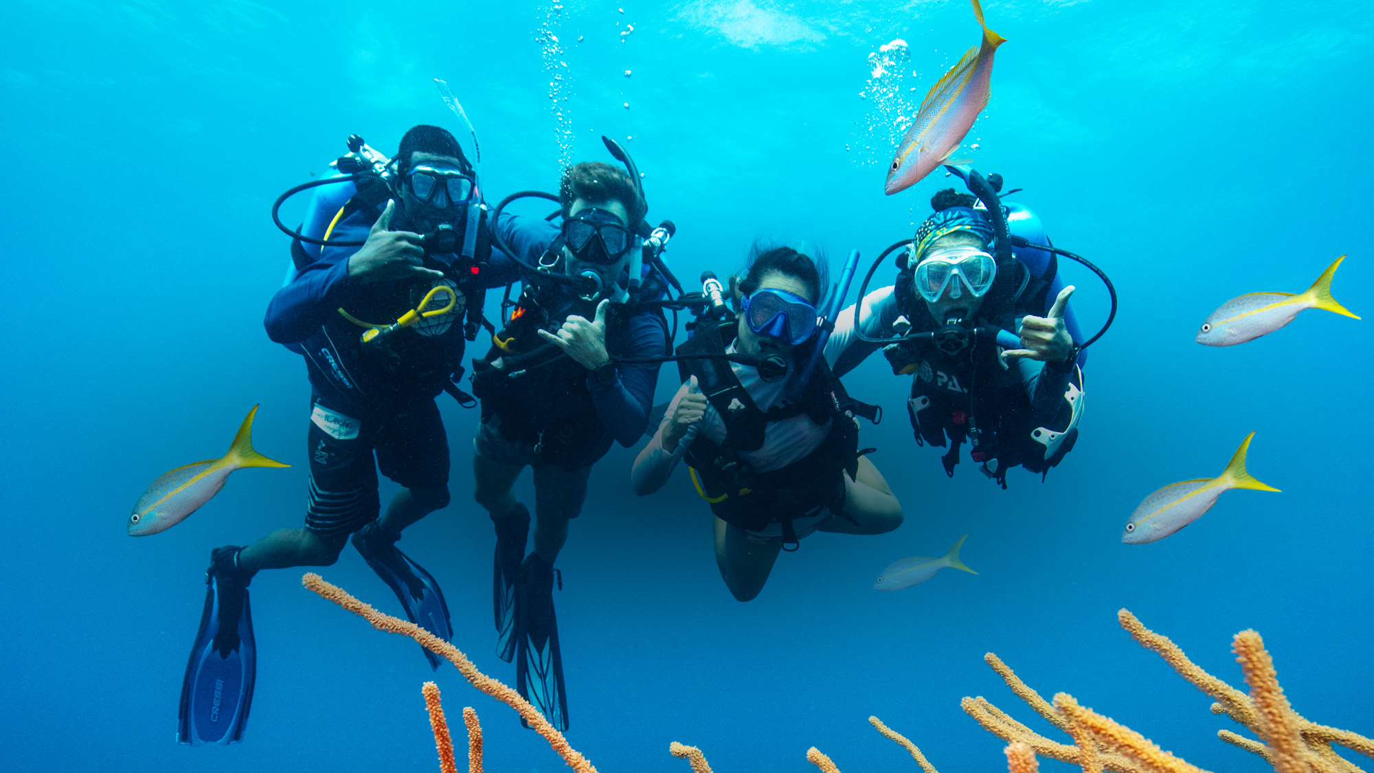 Four divers posing underwater.