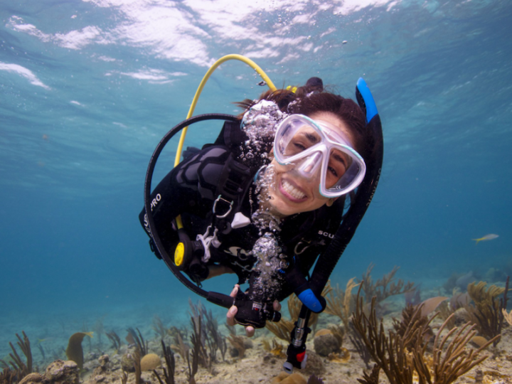 PADI In the News
