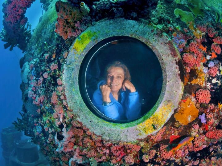 Dr Sylvia Earl