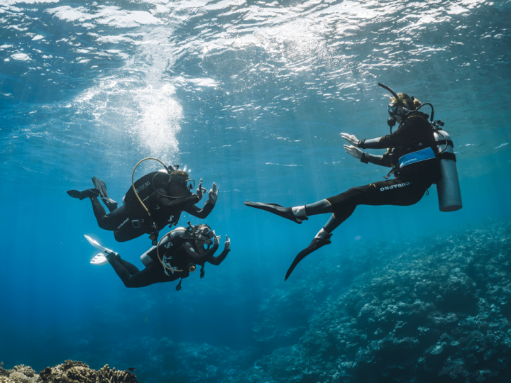 Divers surveying the ocean.