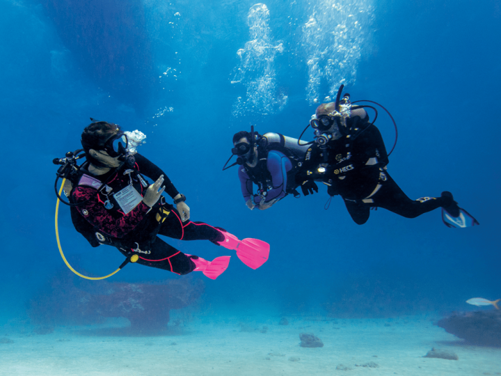 Divers surveying the ocean.