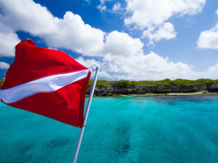 A dive flag waving in the air.