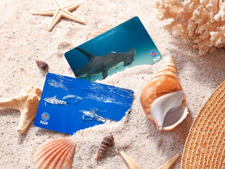 Diver certification card designs on the beach sand - certification cards