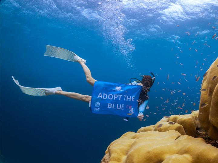 A diver holding an Adopt the Blue towel underwater.