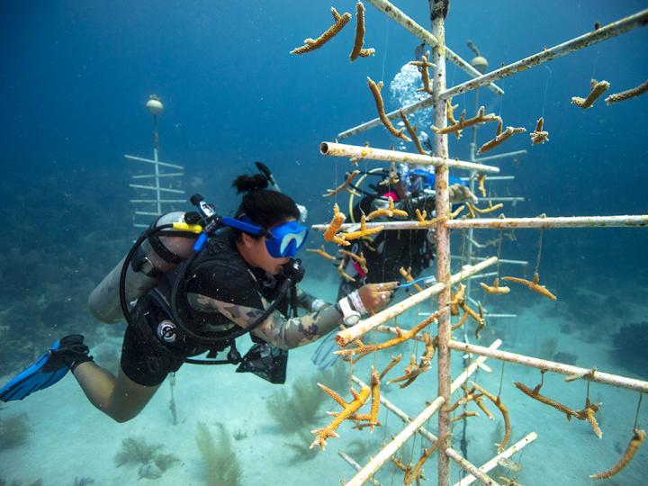Make a difference and make the oceans a better place.