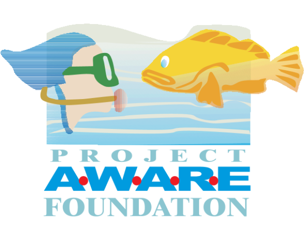 Old Logo