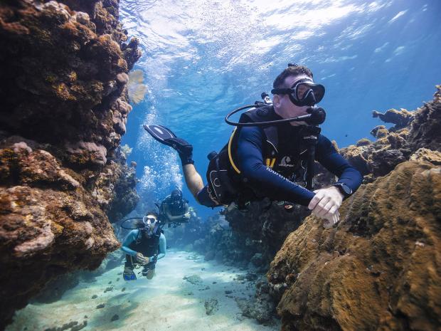 pro-lead-diving
